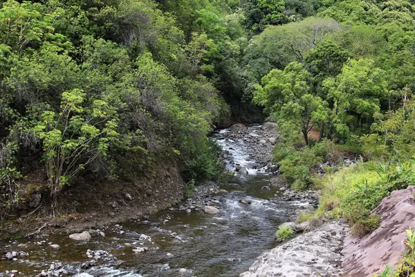 Kahului (Maui)