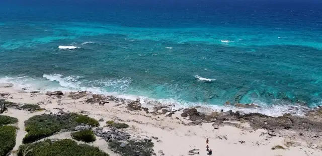 Labadee